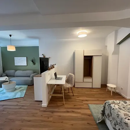 Aner 6 Eleganter Loft Mit Infrarotsauna In Weisser Hirsch Appartement