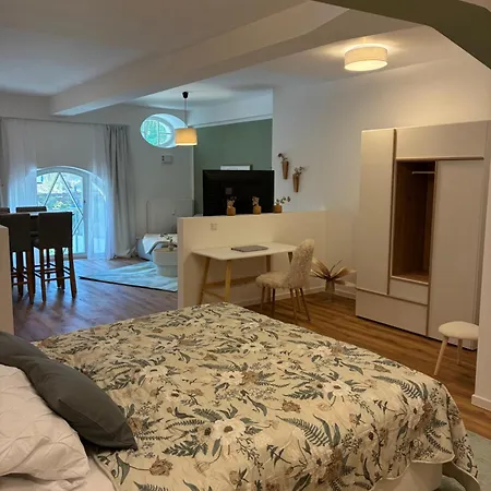 Aner 6 Eleganter Loft Mit Infrarotsauna In Weisser Hirsch