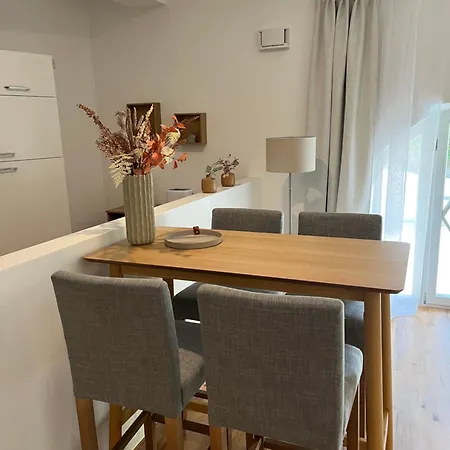 Appartement Aner 6 Eleganter Loft Mit Infrarotsauna In Weisser Hirsch Dresden