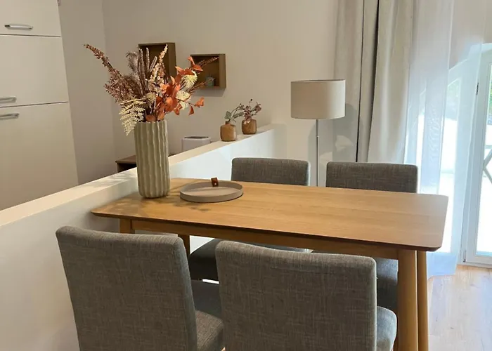 Appartement Aner 6 Eleganter Loft Mit Infrarotsauna In Weisser Hirsch Dresden