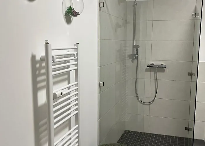 Aner 6 Eleganter Loft Mit Infrarotsauna In Weisser Hirsch Appartement Dresden