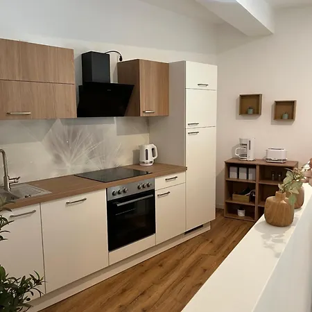Aner 6 Eleganter Loft Mit Infrarotsauna In Weisser Hirsch דירה