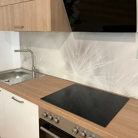 Aner 6 Eleganter Loft Mit Infrarotsauna In Weisser Hirsch * דרזדן