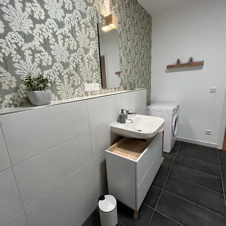 Aner 6 Eleganter Loft Mit Infrarotsauna In Weisser Hirsch