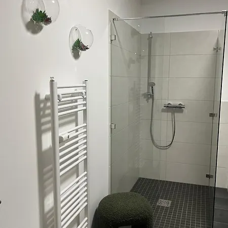 Aner 6 Eleganter Loft Mit Infrarotsauna In Weisser Hirsch Apartamento Dresden