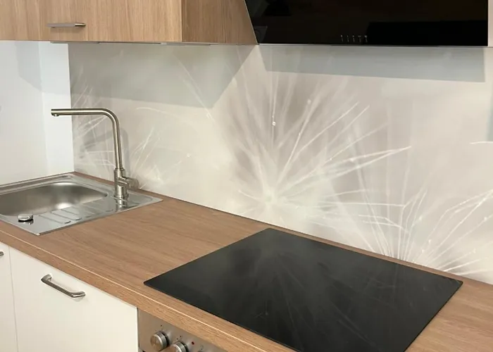 Aner 6 Eleganter Loft Mit Infrarotsauna In Weisser Hirsch * Δρέσδη