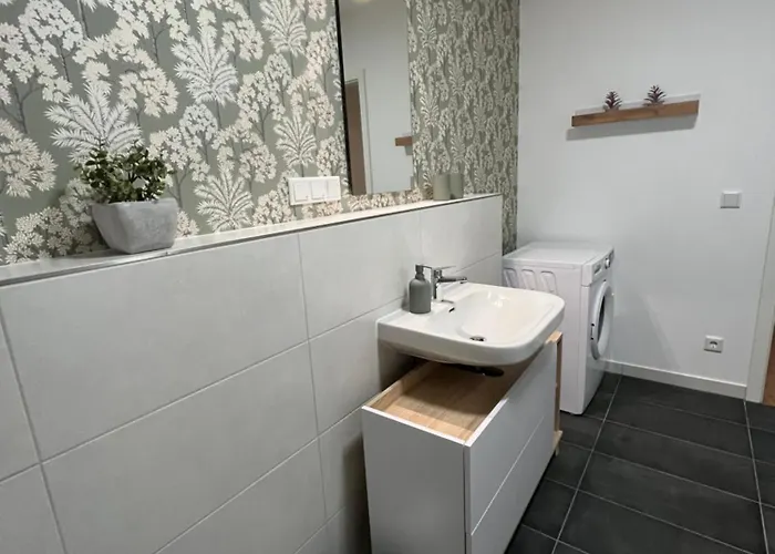 Aner 6 Eleganter Loft Mit Infrarotsauna In Weisser Hirsch