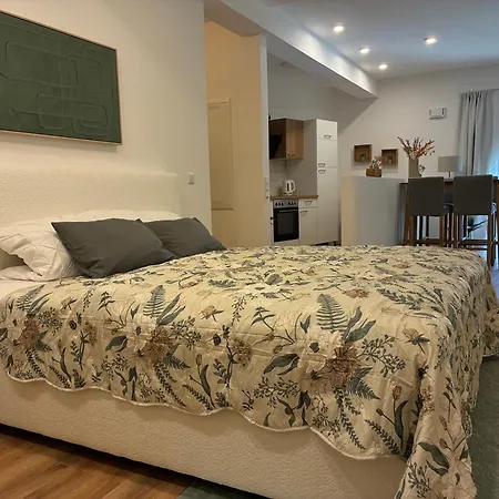 Aner 6 Eleganter Loft Mit Infrarotsauna In Weisser Hirsch Apartman Drezda