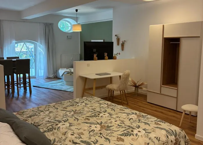 Aner 6 Eleganter Loft Mit Infrarotsauna In Weisser Hirsch