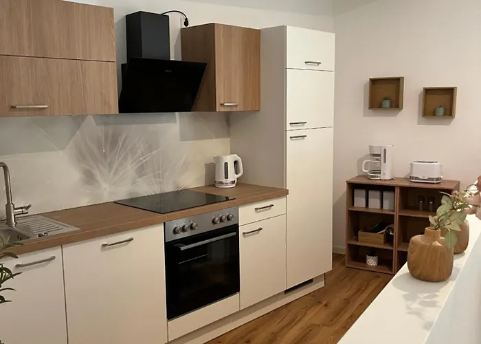 Aner 6 Eleganter Loft Mit Infrarotsauna In Weisser Hirsch Apartman